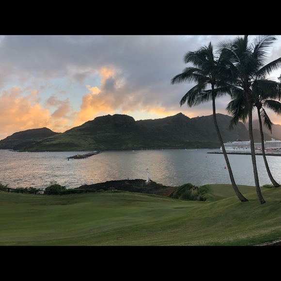 Meet your Posher, Dani - Picture 1 of 1